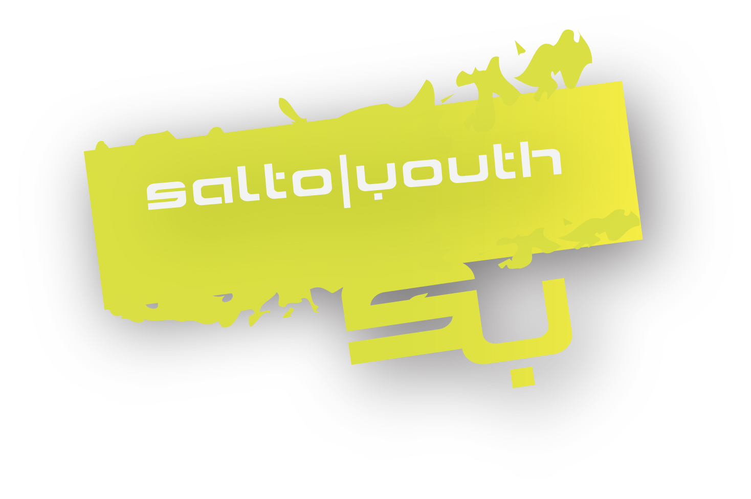 SALTO logo