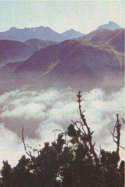 Caucasus Mountains
