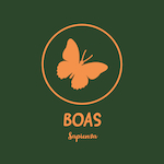 Logo for Butterfly Observation Association of Sapienza