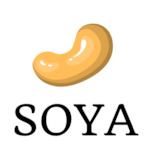 Logo for Square Of Youth Association