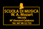 associazione di alta cultura musicale "W.A. Mozart"