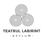 Asylum Labyrinth Theater