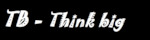 Asociatia TB - Think Big