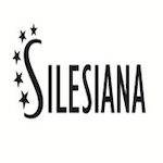 Centrum Inicjatyw Europejskich Silesiana