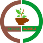 Logo for dondurmaevim
