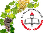 Çal Provincial Directorate of National Education (Çal İlçe Milli Eğitim Müdürlüğü)