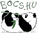 BOCS Foundation