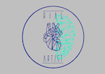 Hungarian Special Arts Workshop Association