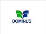 SICI DOMINUS S.L