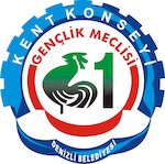 Denizli City Council Youth Assembly