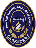 PAKİZE NARİN ANADOLU LSESİ