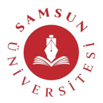 Samsun University