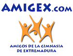 Amigex