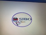 Somali Intellectuall Banadir Organisation