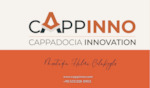 CAPPADOCIA INNOVATION INSTITUTE TEKNOLOJİ LİMİTED ŞİRKETİ