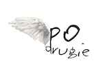 Po Drugie Foundation