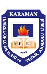 Temizel Ünlü Mesleki ve Teknik Anadolu Lisesi