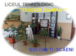 Technological High School Teodor Diamant 