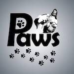 Gruop Adventure Of Paws