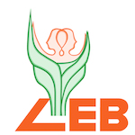 LEB im Freistaat Sachsen e.V.