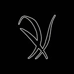 Logo for ASSOCIAZIONE CULTURALE “RADURA”