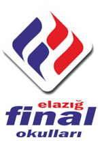 Elazığ Final Schools