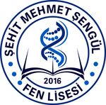 Logo for Şehit Mehmet Şengül Science High School