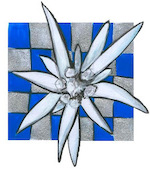 Fundatia Calistrat Hogas 1911