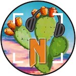 Logo for Network without borders