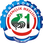Denizli Metropolitan Municipality City Council Youth Assembly