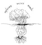 Exploring Anima Mundi