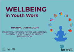 Well-being in Youth Work: Training Curriculum