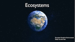Ecosystems workshop