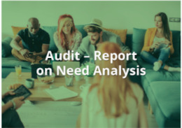 START POINT Community Audit Report about civic engagement barriers and opportunities of vulnerable young adults