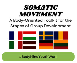 Somatic Movement: A Body-Oriented Toolkit for the Stages of Group Development