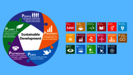 SDG Talks