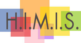 HIMIS Guidelines