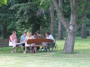 Meeting in a forest