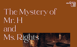 An educational long-term roleplay simulation programme “The Mystery of Mr. H and Ms. Rights”