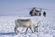 Alaska? No, Chukotka Peninsula!