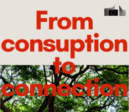 From consumption to connection 
