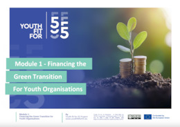 Youth fit for 55 Bluprint - Module 1. Financing the Green Transition For Youth Organisations