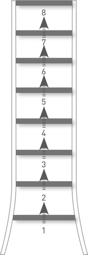 Hart's ladder of participation