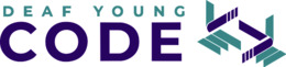 Deaf Young Code Final Survey Report