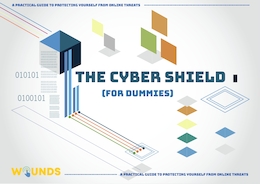THE CYBER SHIELD (FOR DUMMIES) - A practical guide to protecting yourself from online threats