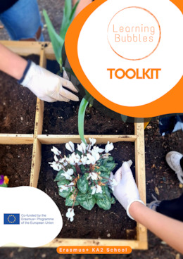 Learning Bubbles Toolkit