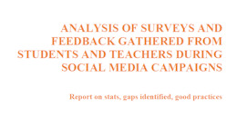 Analysis of the surveys and feedback