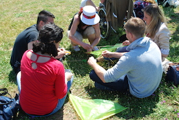 Cooperation: how to built a kite?