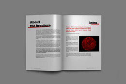 Disinformation action brochure