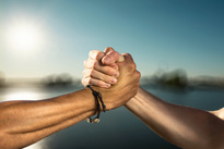 Meetings and Support